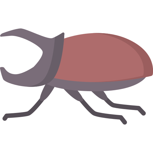 Rhinoceros beetle - free icon