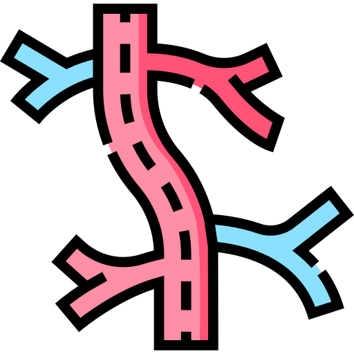 Vascular free icon Vascular free icon