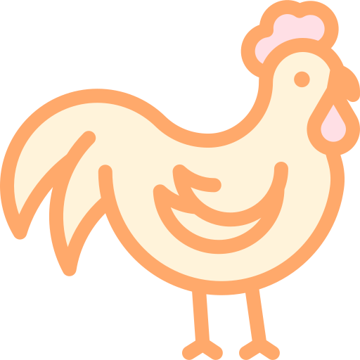 Chicken Detailed Color Lineal Color Icon