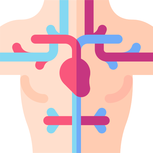 vasculaire Icône gratuit vasculaire Icône gratuit
