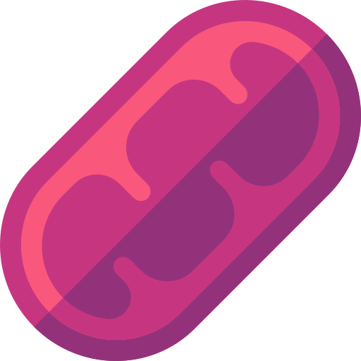 Mitochondria - Free healthcare and medical icons