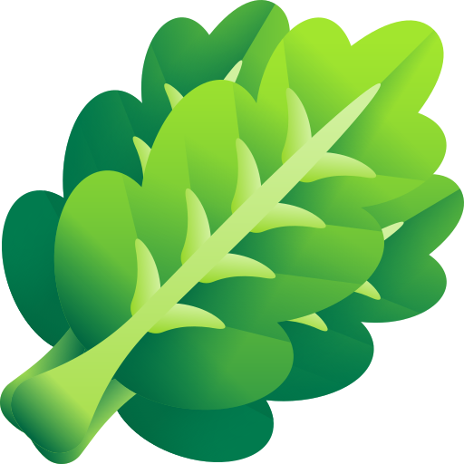 grüner salat kostenlos Icon