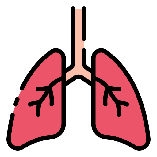 pulmones icono gratis