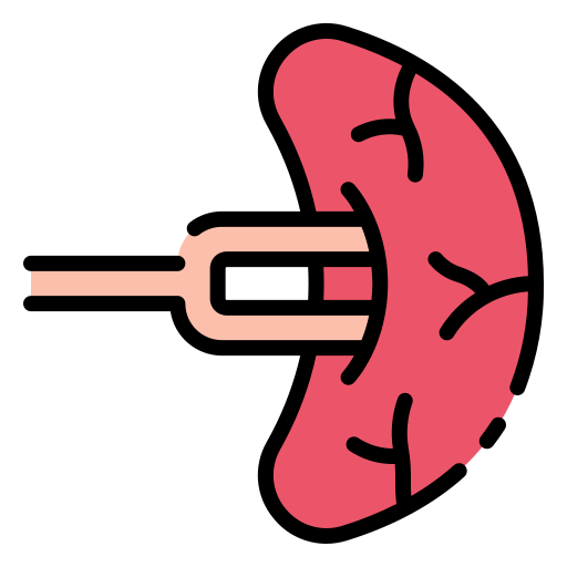 Spleen - Free healthcare and medical icons