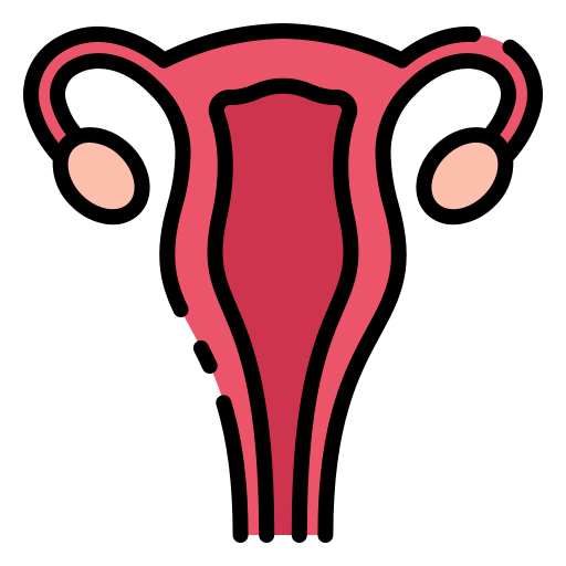 Uterus - Free medical icons