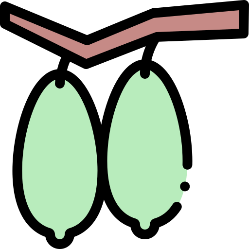 bilimbi kostenlos Icon bilimbi kostenlos Icon