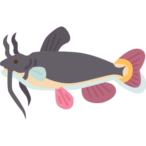 Catfish - Free animals icons