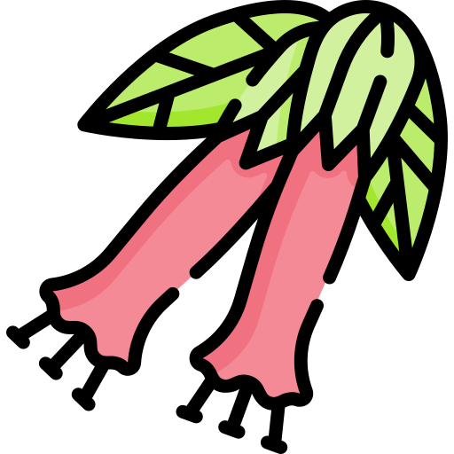 cantua grátis ícone