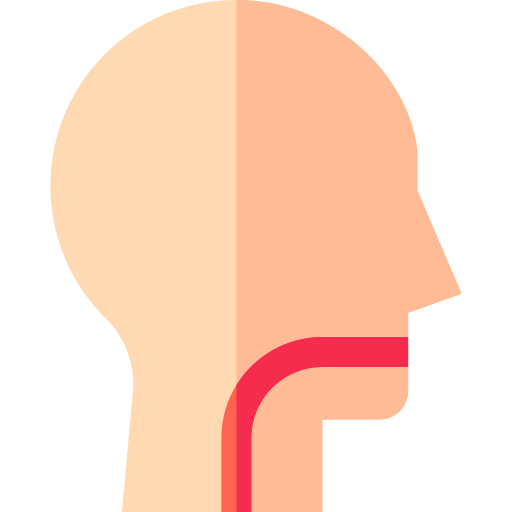 Esophagus - free icon