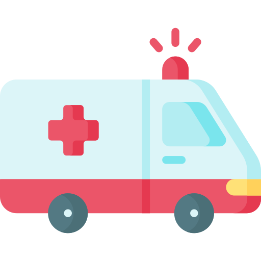 Ambulance Special Flat icon