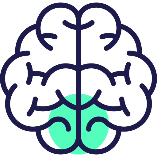 Brain free icon Brain free icon