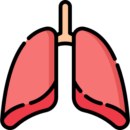 Lungs Special Lineal color icon