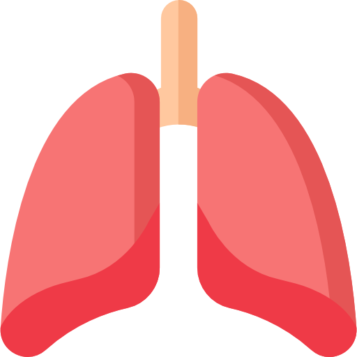 Lungs free icon Lungs free icon