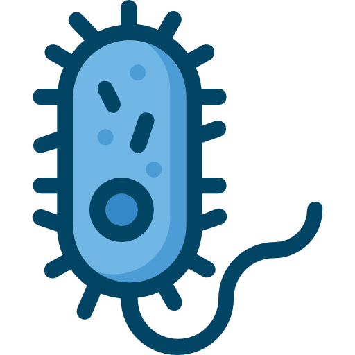 Bacteria Dimitriy Morilubov Lineal Color icon