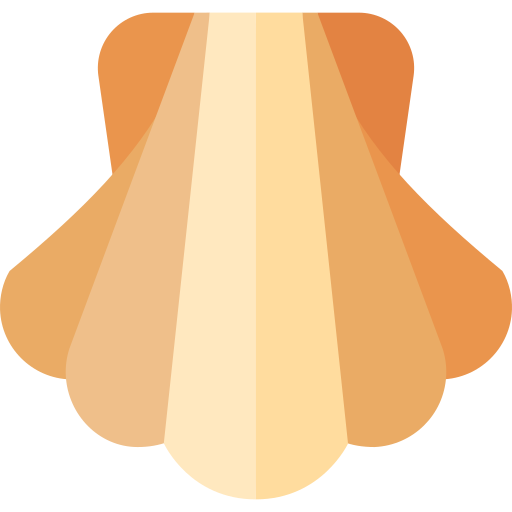 jakobsmuschel kostenlos Icon jakobsmuschel kostenlos Icon
