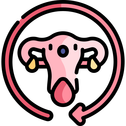 Útero icono gratis Útero icono gratis
