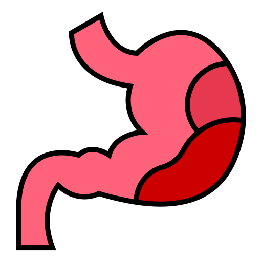 Stomach Generic Outline Color icon