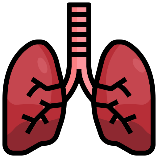 pulmones icono gratis