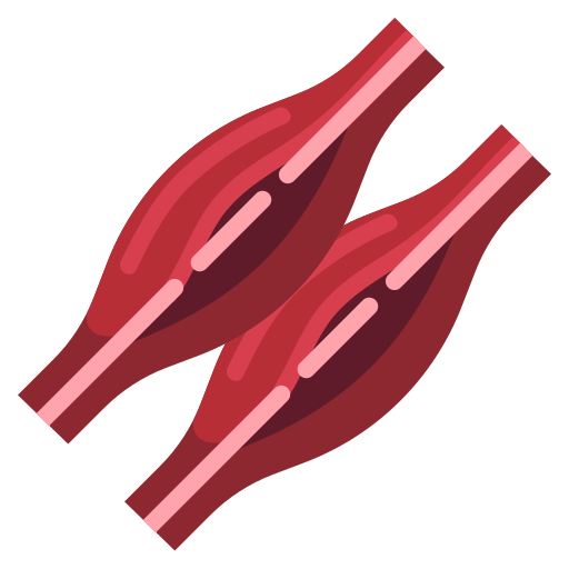 Мышцы бесплатно иконка