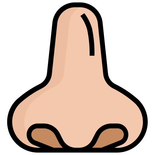 Nose Generic Outline Color icon