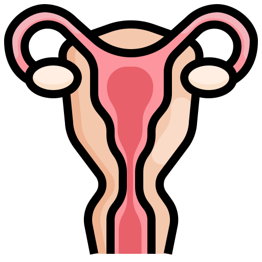 Útero icono gratis