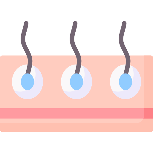 folículo capilar icono gratis