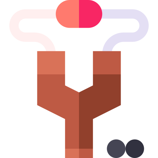 schleuder kostenlos Icon