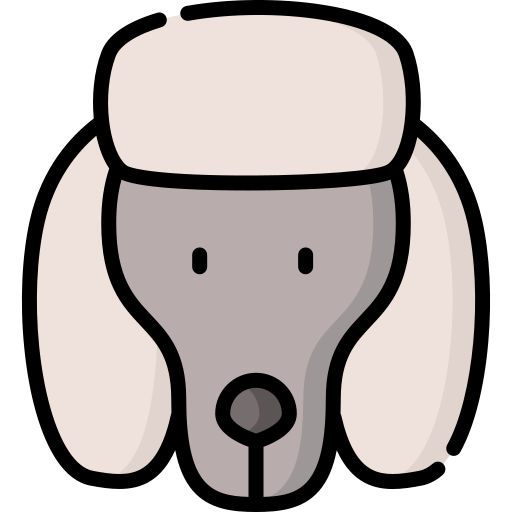 caniche francés icono gratis