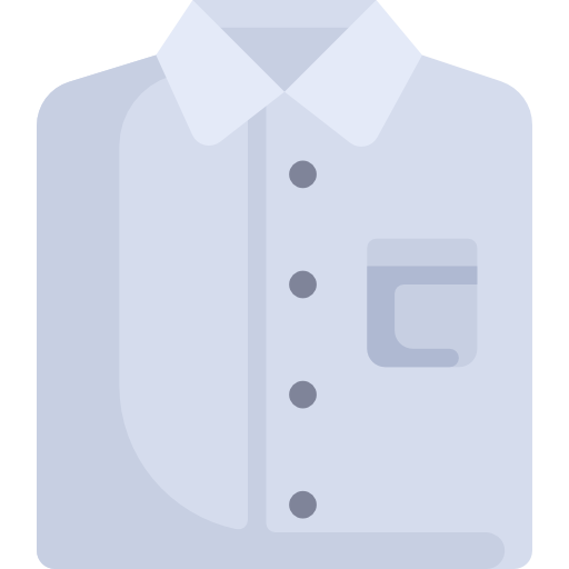 Shirt Special Flat icon