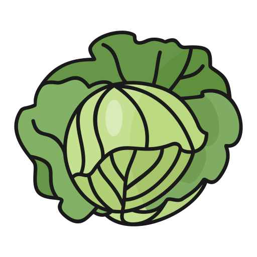 Cabbage Generic Thin Outline Color icon