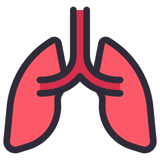 Lungs Generic Outline Color icon