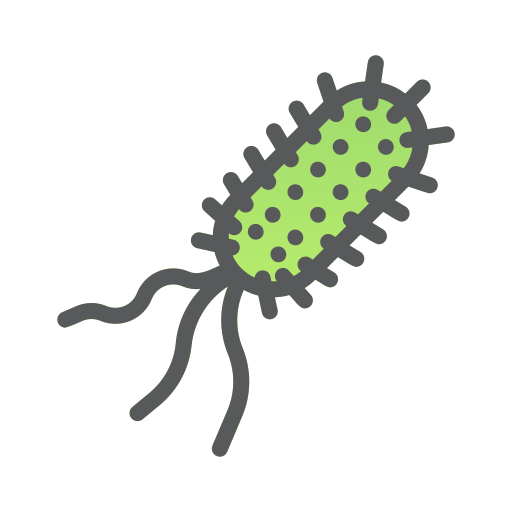 Bacteria Generic Outline Color icon