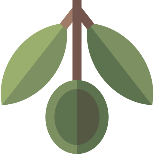 aceituna icono gratis