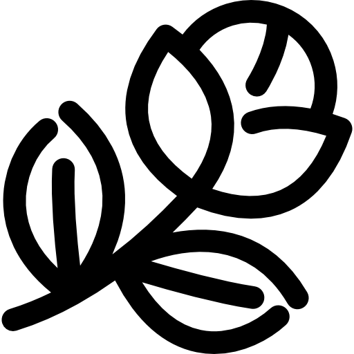 flor icono gratis