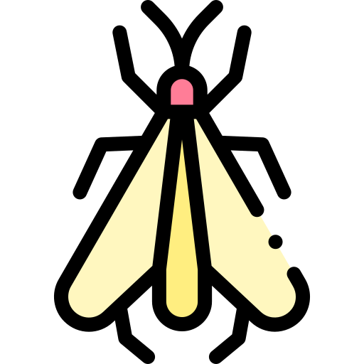 inseto grátis ícone