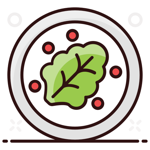 salat kostenlos Icon