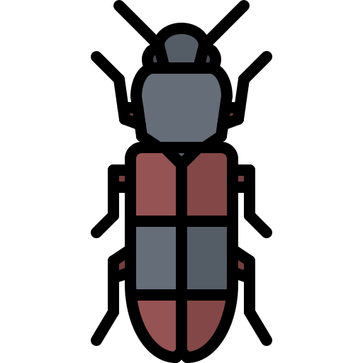 Beetle free icon Beetle free icon