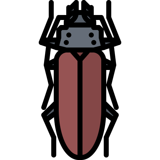 Beetle free icon Beetle free icon