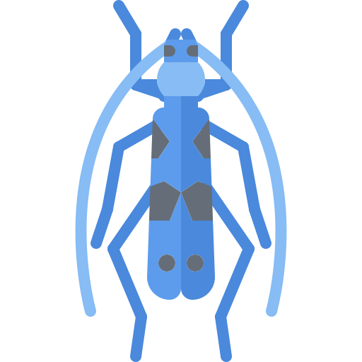 Beetle free icon Beetle free icon