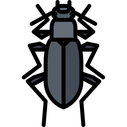 Beetle Coloring Color icon