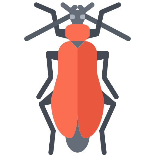Beetle free icon Beetle free icon