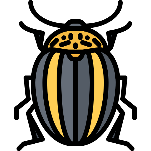 Beetle Coloring Color icon