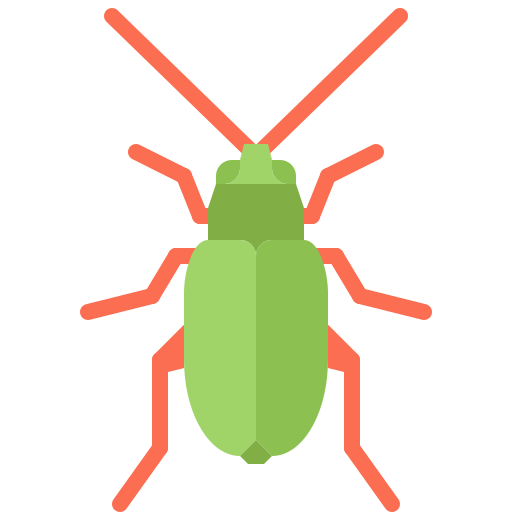 Beetle free icon Beetle free icon