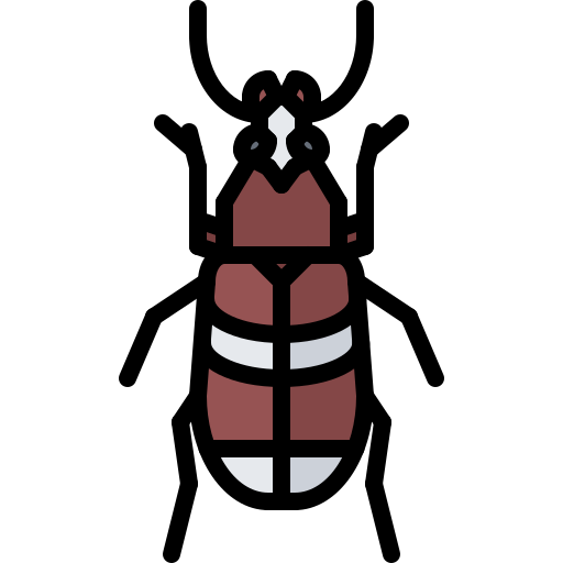 Beetle - free icon