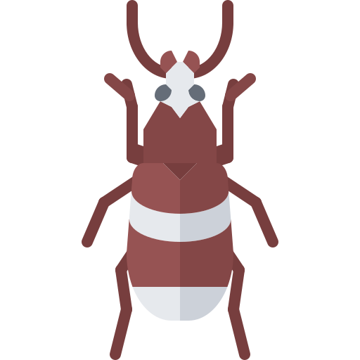 Beetle free icon Beetle free icon