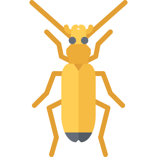 Beetle Coloring Flat icon