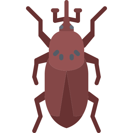 Beetle free icon Beetle free icon