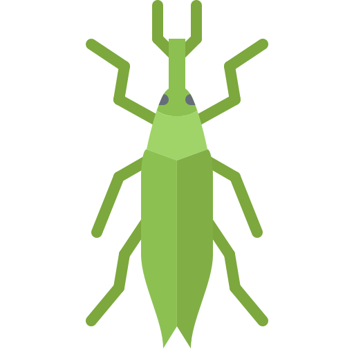 Beetle free icon Beetle free icon