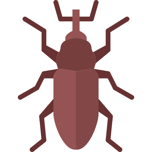 Beetle free icon Beetle free icon