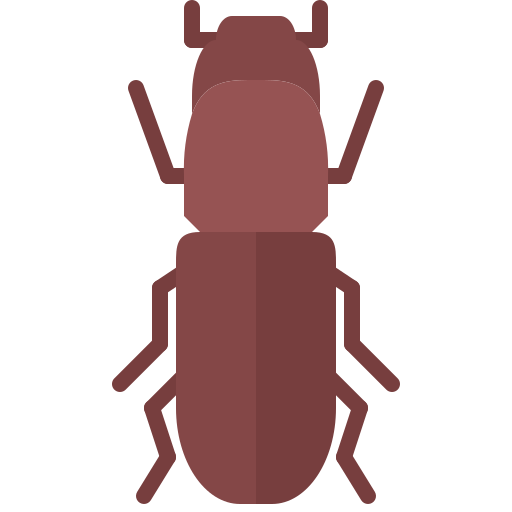 Beetle free icon Beetle free icon